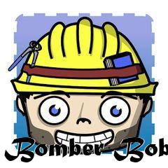 Box art for Bomber Bob