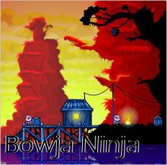 Box art for Bowja Ninja