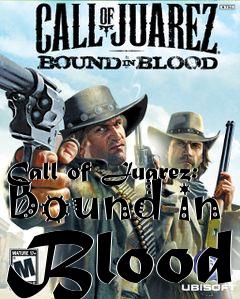 Box art for Call of Juarez: Bound in Blood