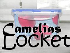 Box art for Camelias Locket