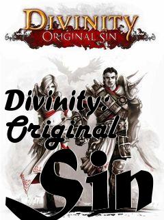Box art for Divinity: Original Sin