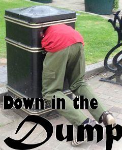 Box art for Down in the Dumps
