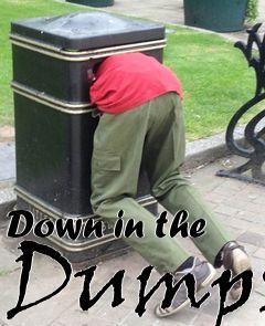 Box art for Down in the Dumps