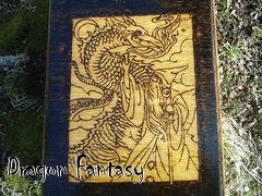 Box art for Dragon Fantasy