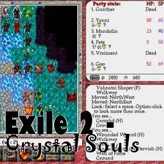 Box art for Exile 2 - Crystal Souls