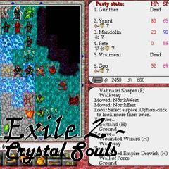 Box art for Exile 2 - Crystal Souls