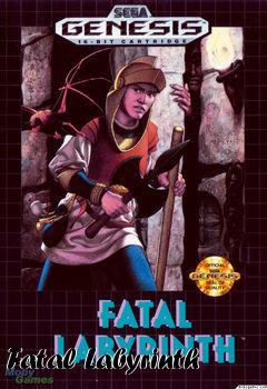 Box art for Fatal Labyrinth