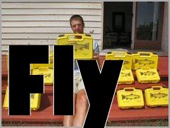 Box art for Fly