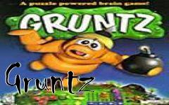 Box art for Gruntz