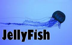 Box art for JellyFish
