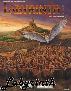 Box art for Labyrinth