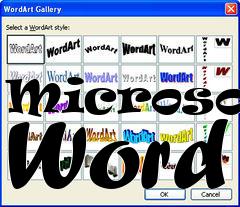Box art for Microsoft Word