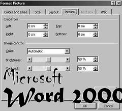 Box art for Microsoft Word 2000