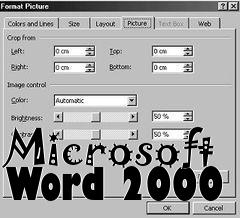 Box art for Microsoft Word 2000