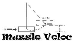 Box art for Muzzle Velocity