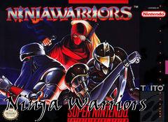 Box art for Ninja Warriors