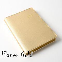 Box art for Planer Gold