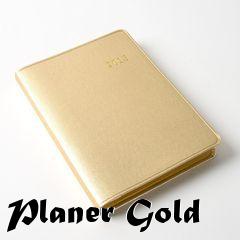 Box art for Planer Gold