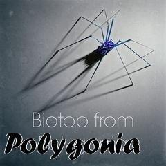 Box art for Polygonia