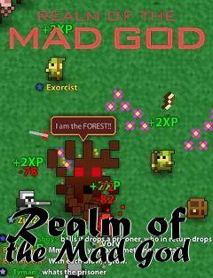 Box art for Realm of the Mad God