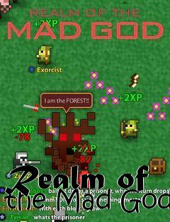 Box art for Realm of the Mad God