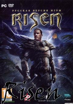 Box art for Risen