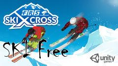 Box art for SKI Free