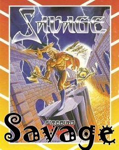 Box art for Savage