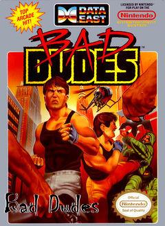 Box art for Bad Dudes