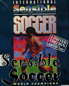 Box art for Sensible Soccer