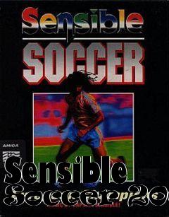 Box art for Sensible Soccer 2000