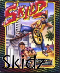 Box art for Skidz