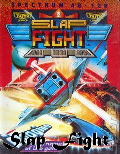 Box art for Slap Fight