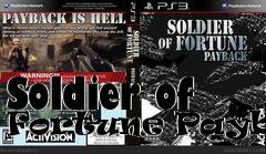 Box art for Soldier of Fortune Payback