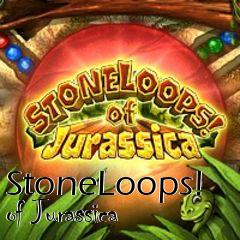 Box art for StoneLoops! of Jurassica
