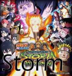 Box art for Storm