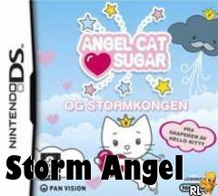 Box art for Storm Angel