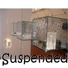 Box art for Suspended