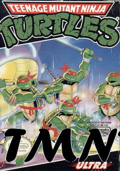 Box art for TMNT