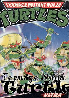Box art for Teenage Ninja Turtles
