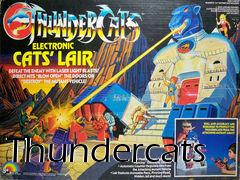 Box art for Thundercats