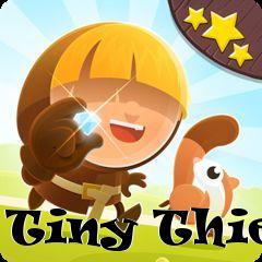 Box art for Tiny Thief