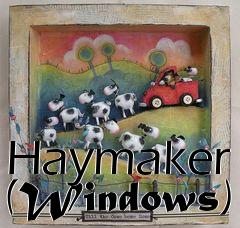Box art for Haymaker (Windows)