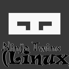 Box art for Ninja Twins (Linux)