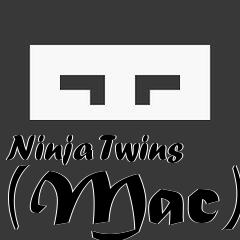 Box art for Ninja Twins (Mac)