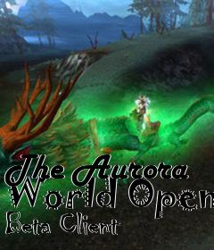 Box art for The Aurora World Open Beta Client