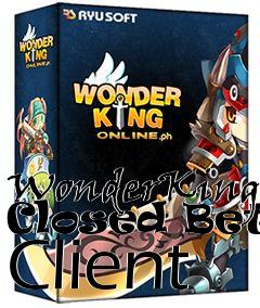 Box art for WonderKing Closed Beta Client