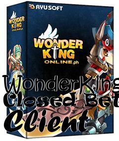 Box art for WonderKing Closed Beta Client