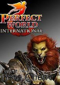 Box art for Perfect World Beta Client