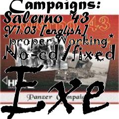 Box art for Panzer
            Campaigns: Salerno 